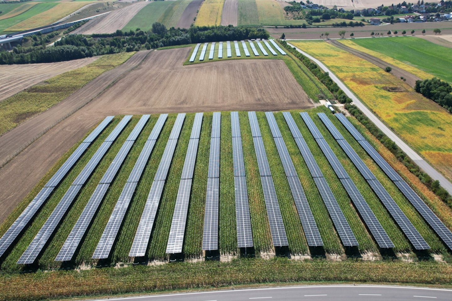 Gleich ist Erntezeit auf der Agri-PV-Anlage EWS Pellendorf,  Hybridpark Windenergie und Agri-Photovoltaik