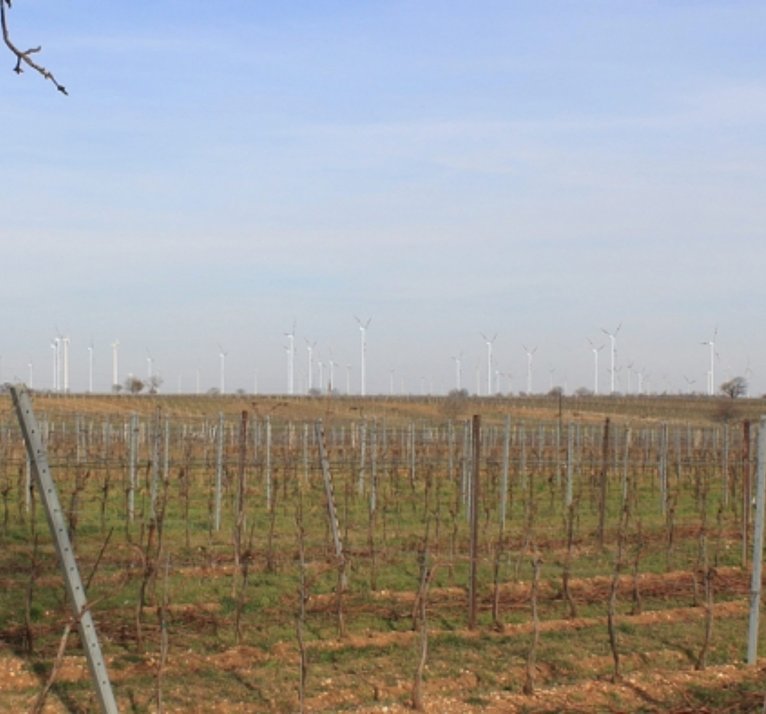 Repowering Windpark Gols Mönchhof (UVP)