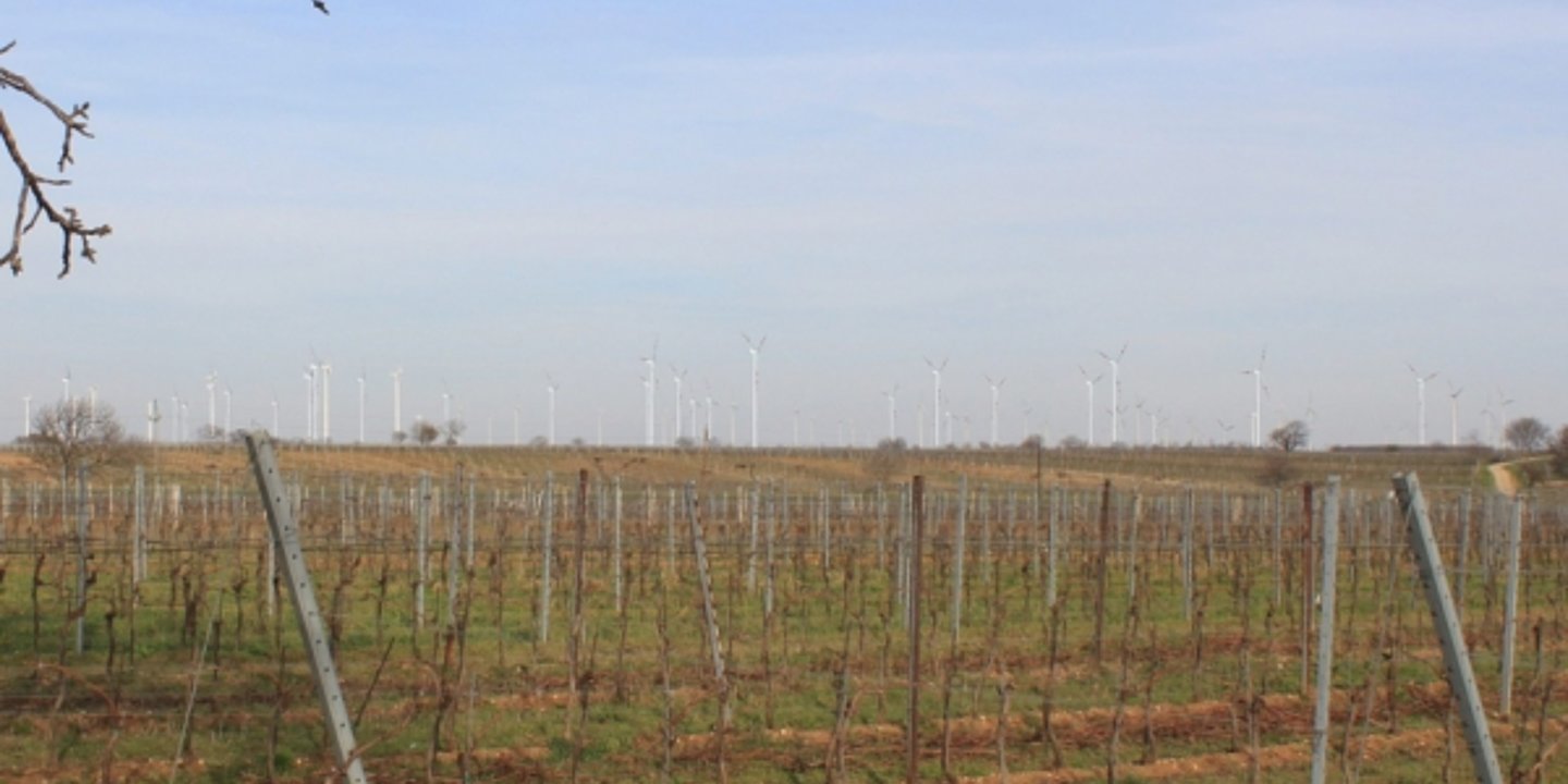 Repowering Windpark Gols Mönchhof (UVP)