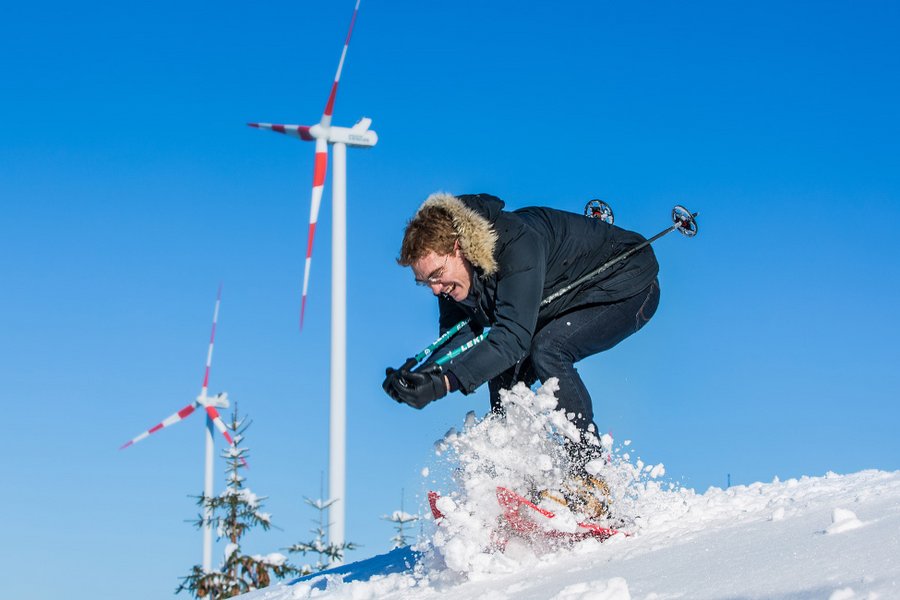 Windstromrekord in Österreich im Jänner 2024